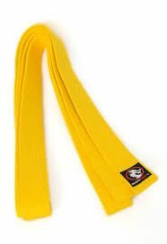 Ceinture de karaté