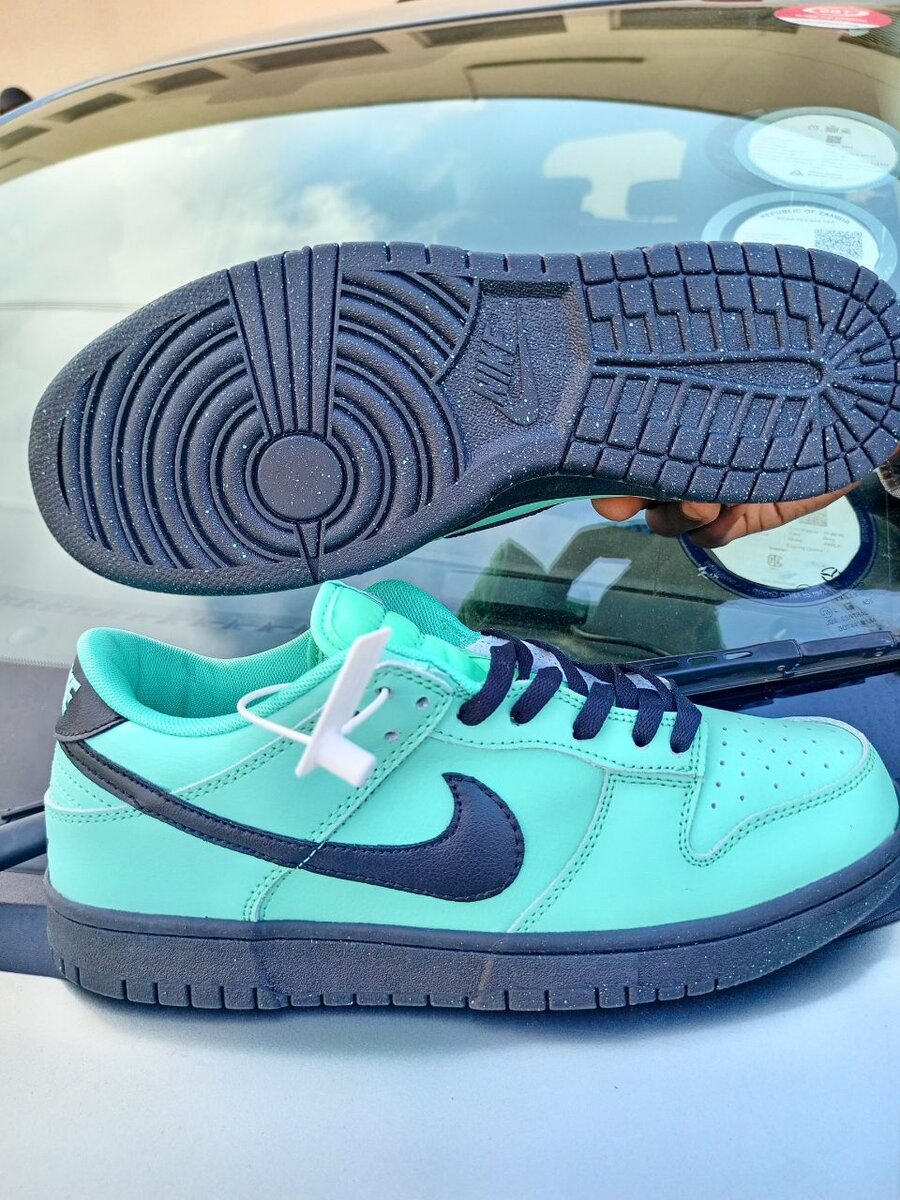 SB dunk low First Class