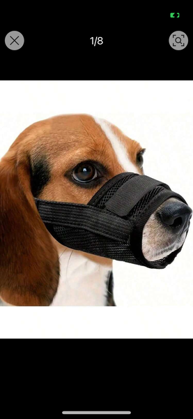 Muselière réglable pour chiens