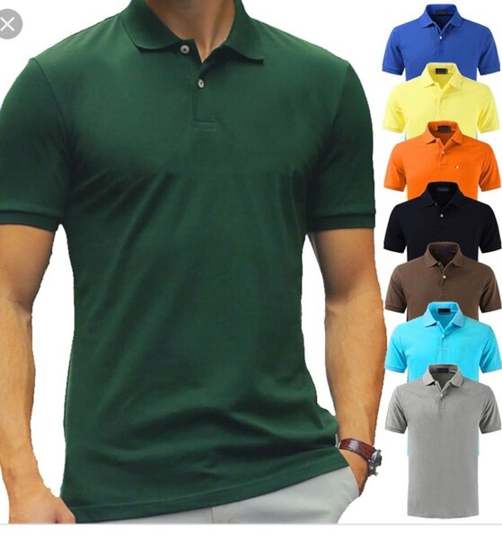 Polo Classique Homme
