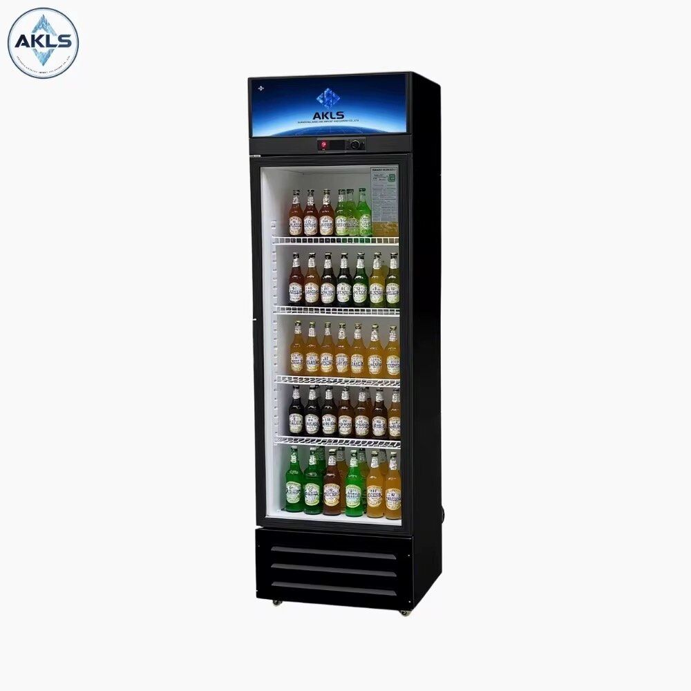 Réfrigérateur vitrine professionnel AKLS
