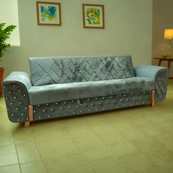 Designer Sofa Cum Beds