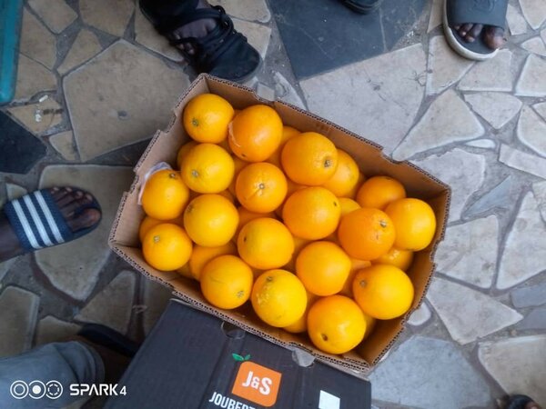 Oranges fraîches d'Afrique du Sud