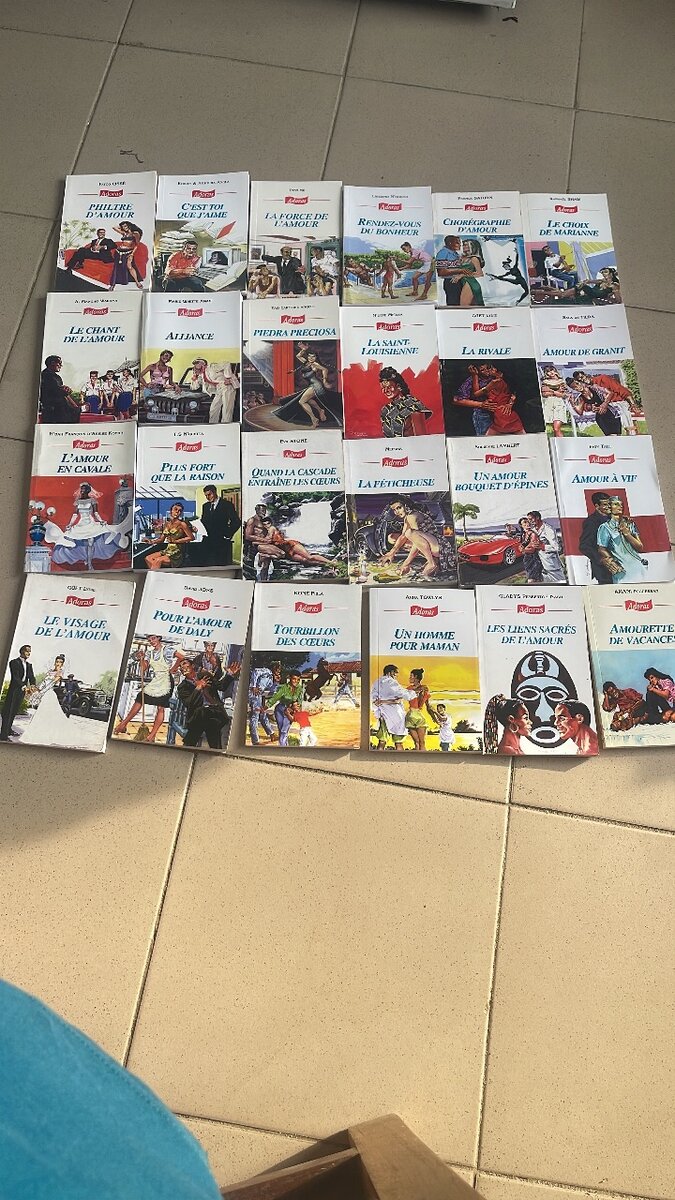 Roman 'La Rivale' - Passion et Intrigue