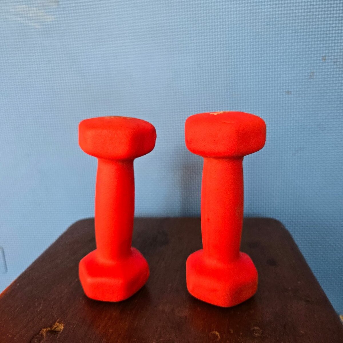 Haltères 1kg en néoprène