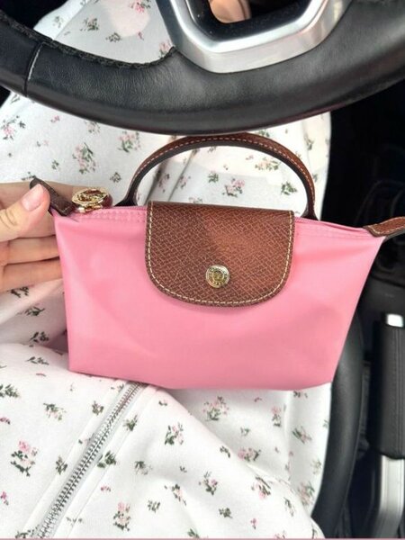 Mini Longchamp