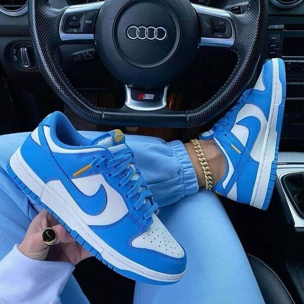 Chaussure nike SB
