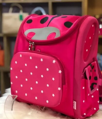 Beautiful lunch bags 🎒 😋 backpack Age: 8-12yrs