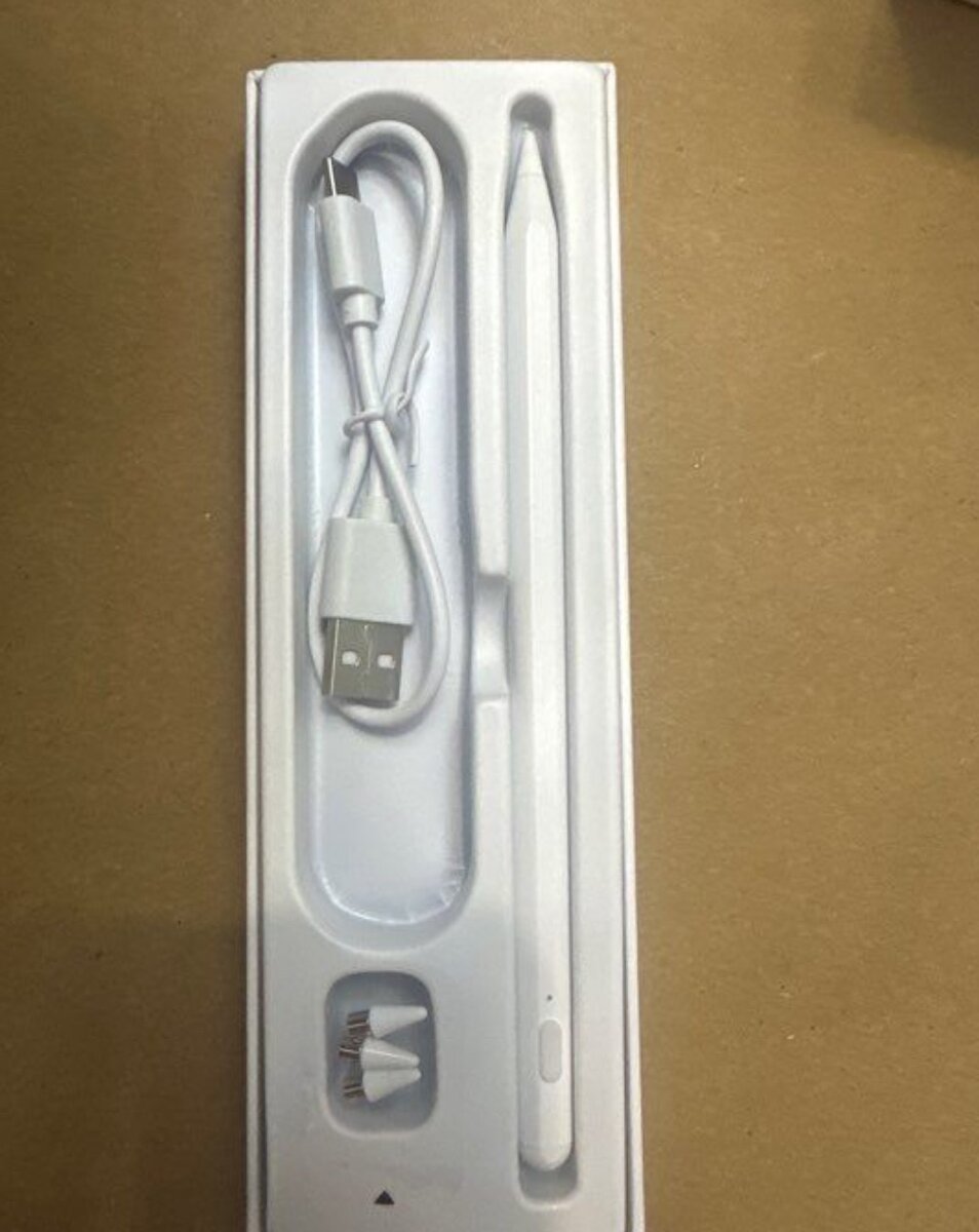 Stylet iPad Original Usb C
