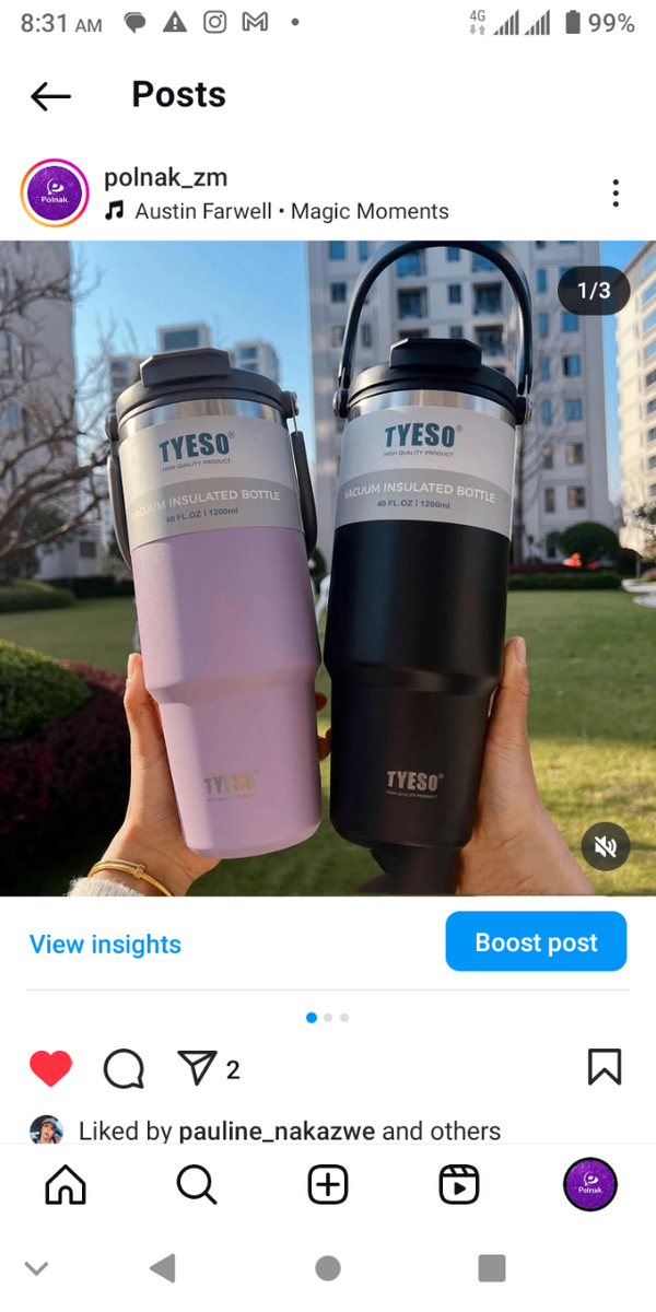 Thermos cup