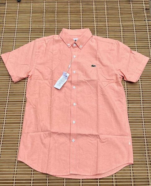 Chemise en Coton Homme Élégante