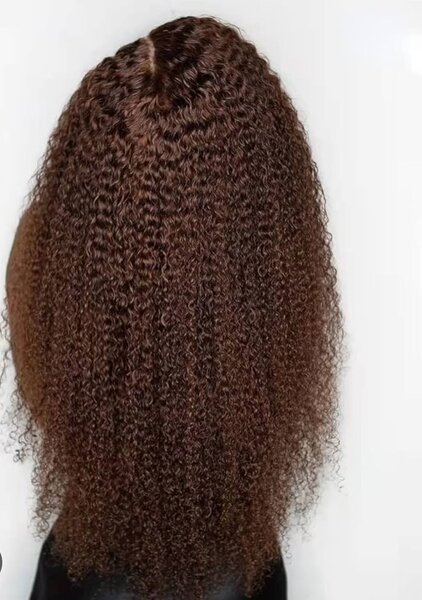 Vietnamien burmese curl L18