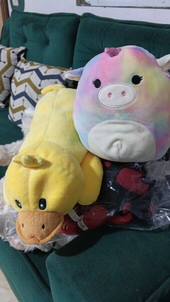 Squishmallow Arc-en-Ciel