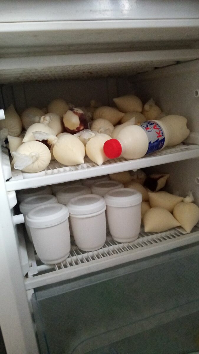 Lait caillé et deguê