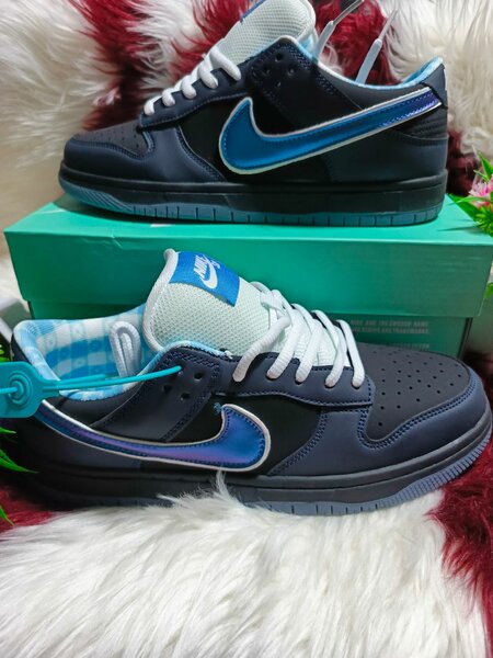 Baskets Nike Bleu et Noir