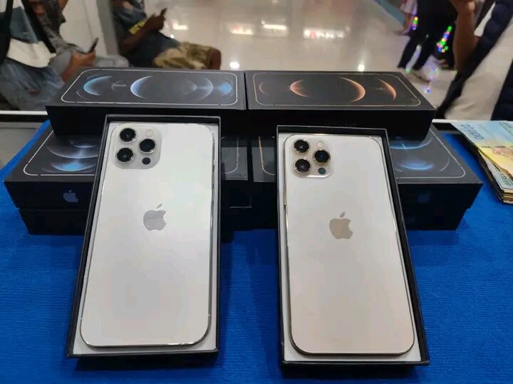 iPhone Pro Max 256 Go Argent