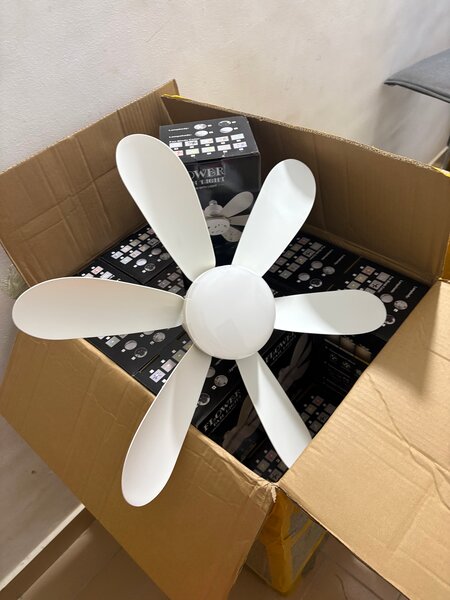 Ventilateur Plafond LED Silencieux