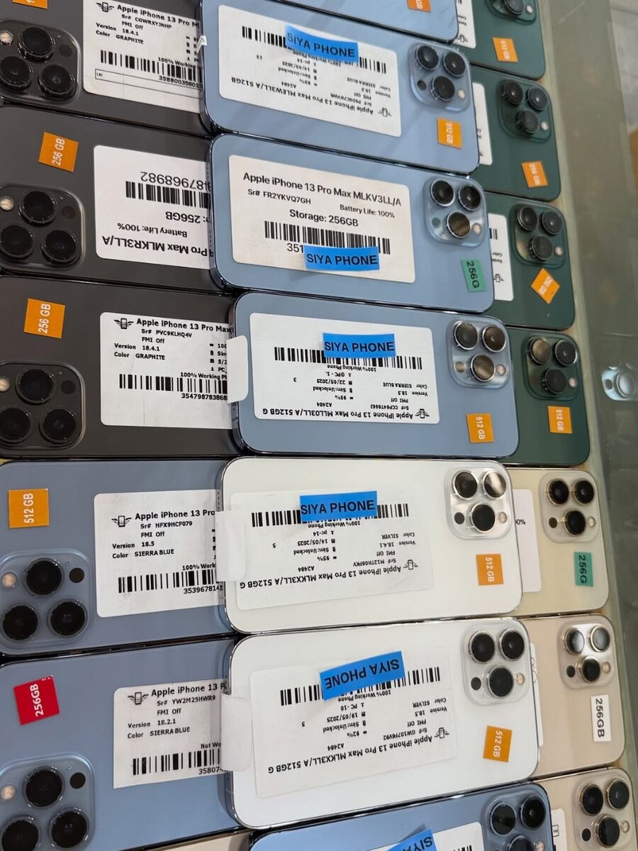 Apple iPhone 13 Pro Max