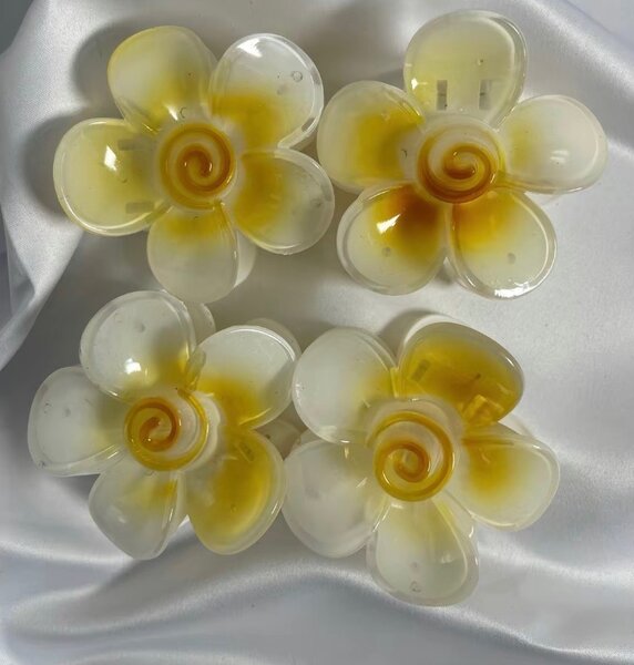 Barrette esthétique