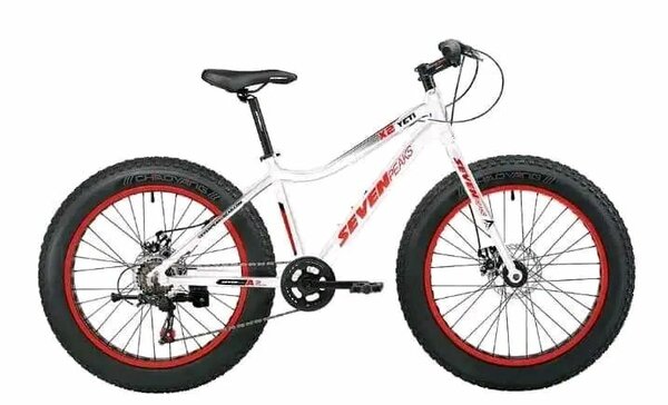 Vélo fatbike tout-terrain