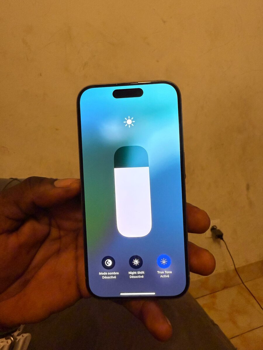 15 Pro 256Go très propre