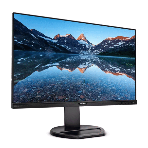 25-inch Phillips  Monitor (252B9) 1920*1200 pixels