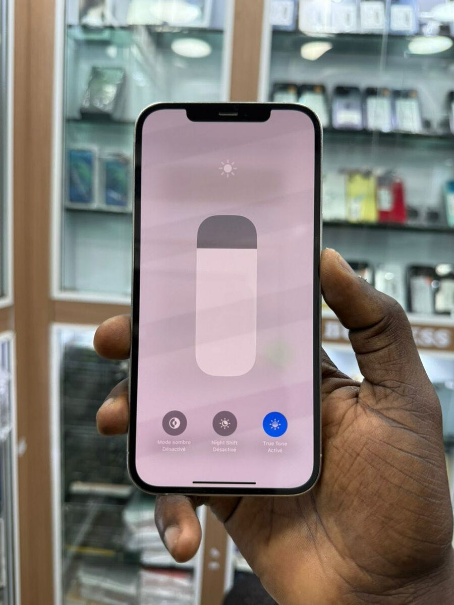 12promax 128g rien nes change