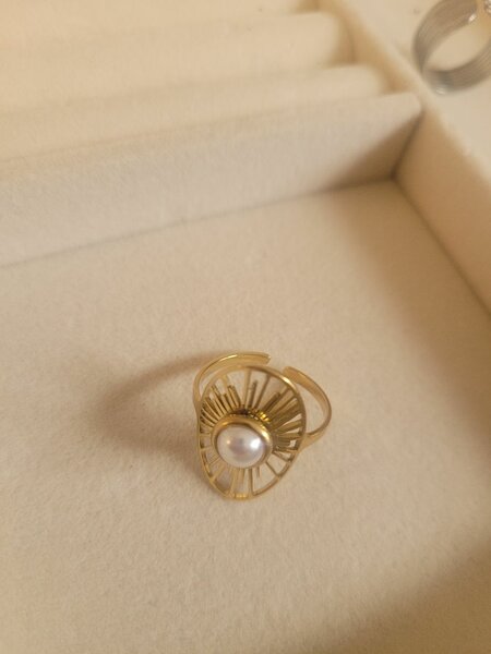 Bague élégante en acier inoxyd