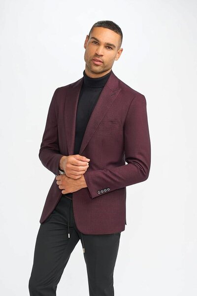 Blazers Velours