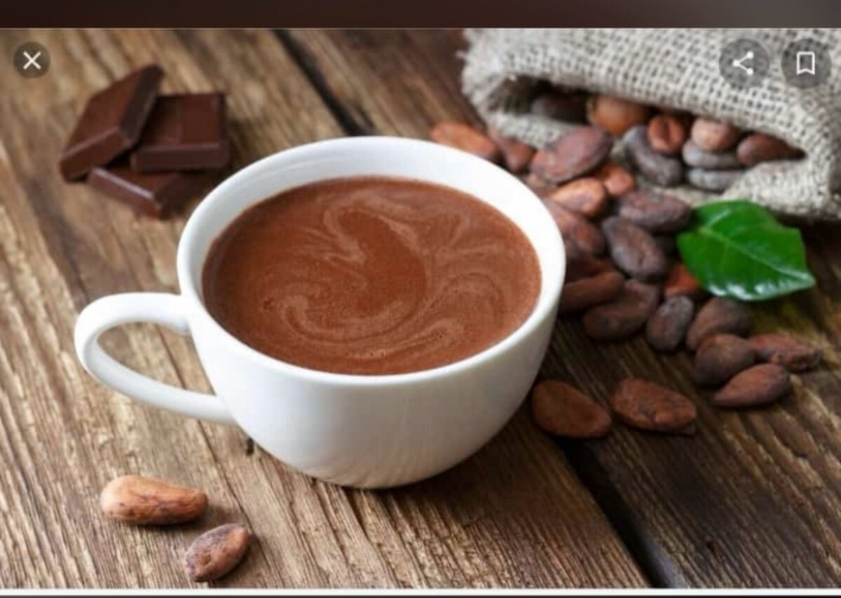 Poudre de Cacao Bio 100%