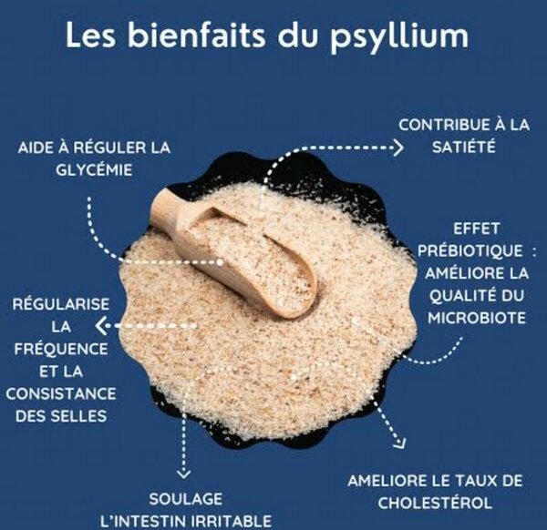 Farine de Psyllium Bio