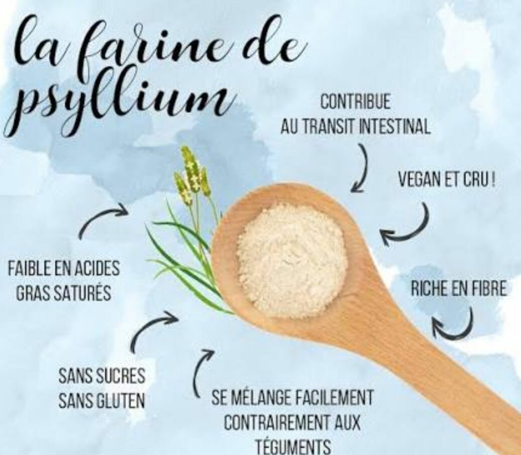 Farine de Psyllium Bio