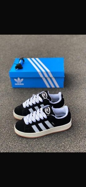 Chaussures  Adidas Campus