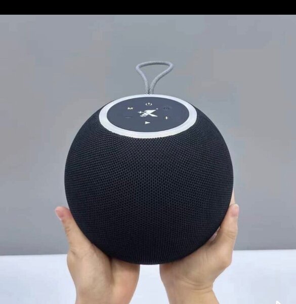 Enceinte Bluetooth Portable