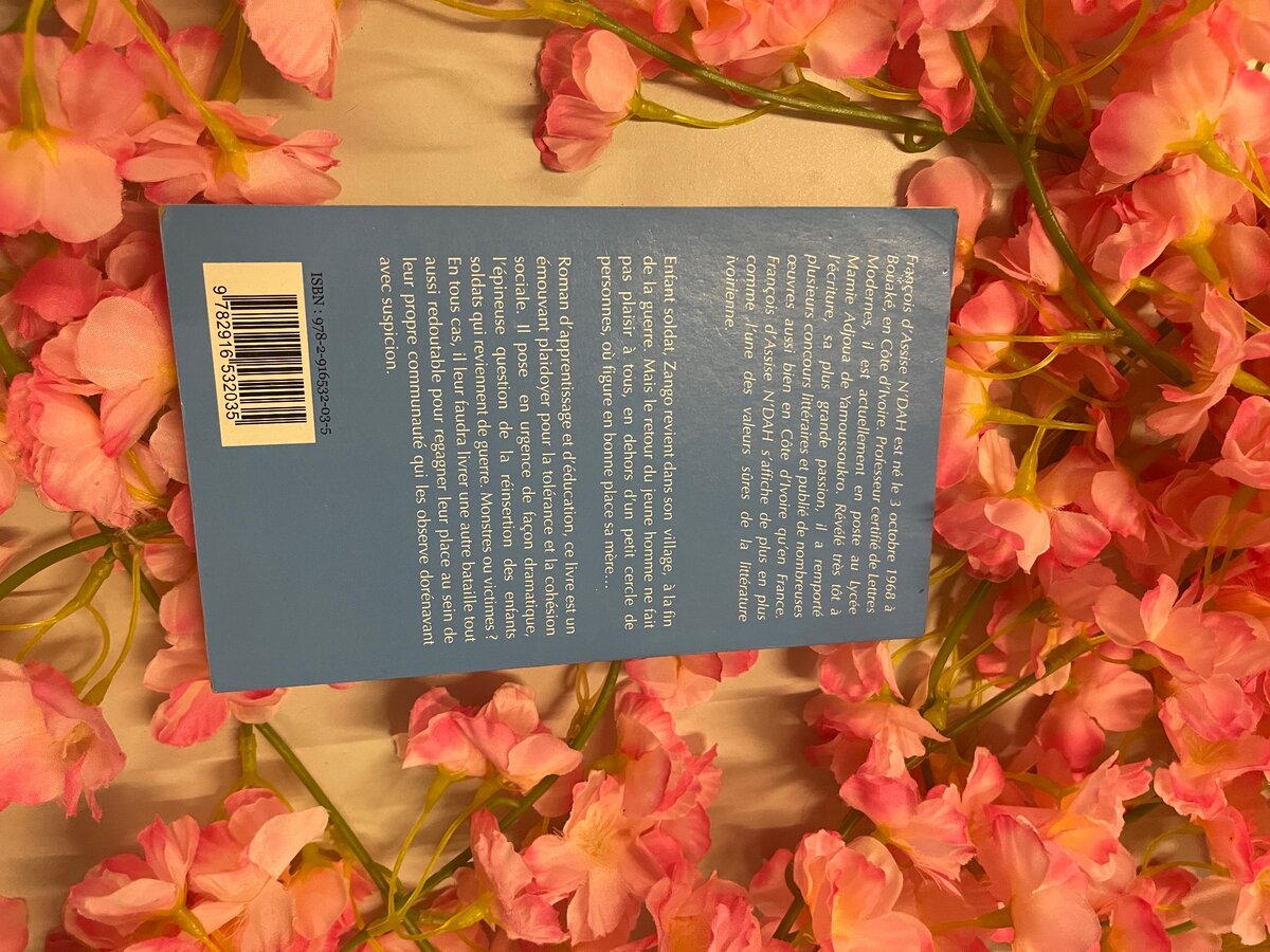 Le retour de l'enfant soldat de François d'Assise N'DAH