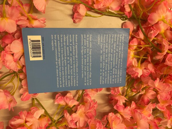 Le retour de l'enfant soldat de François d'Assise N'DAH