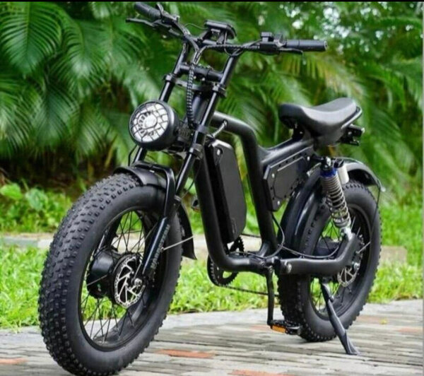 Vélo Électrique Tout-Terrain