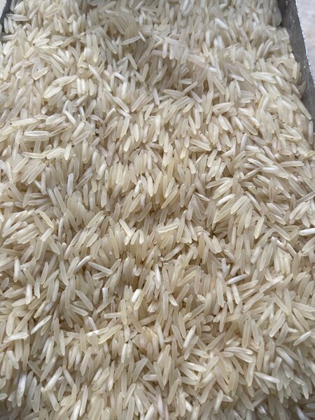 Kainat rice new