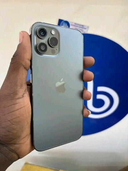 iPhone 13 Pro Max 256Go