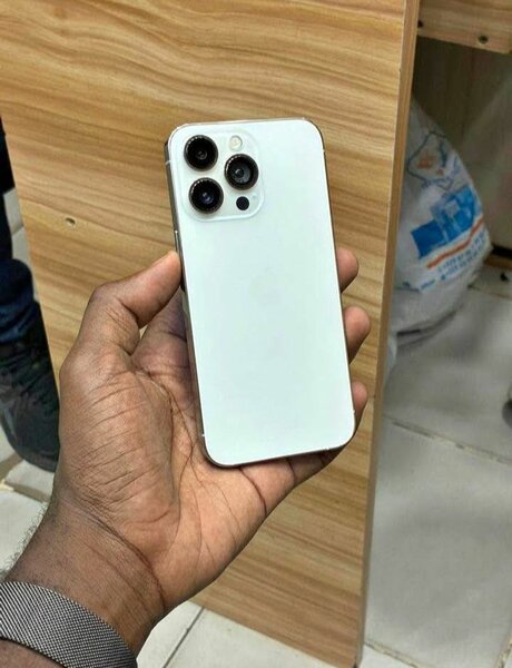 Iphone 13 pro max 256GO