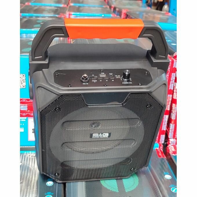 Enceinte Portable Puissante