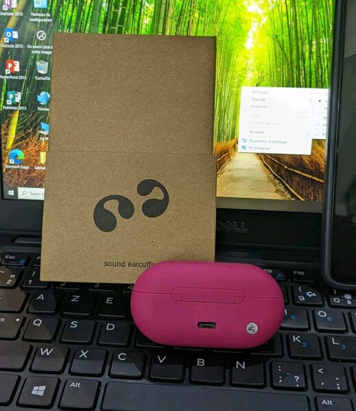 Écouteurs Bluetooth sans fil