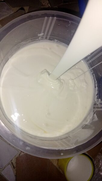 Lait caillé naturel