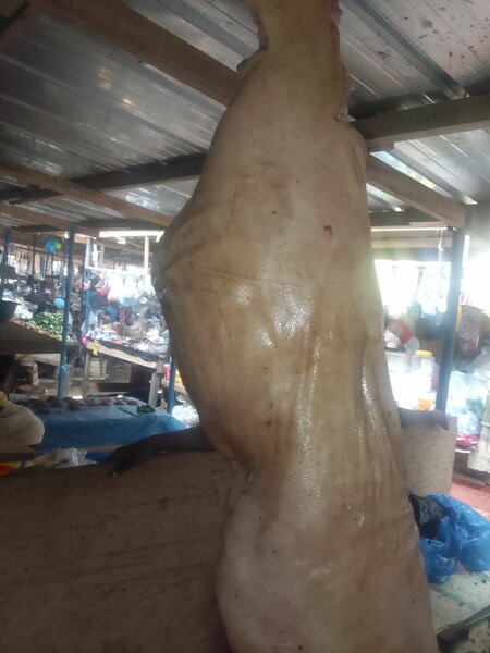 Viande de porc fraîche