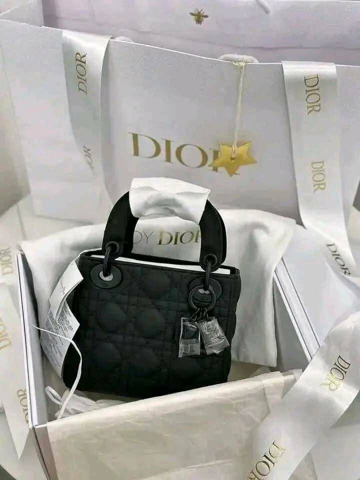 Sac à Main LV, Dior