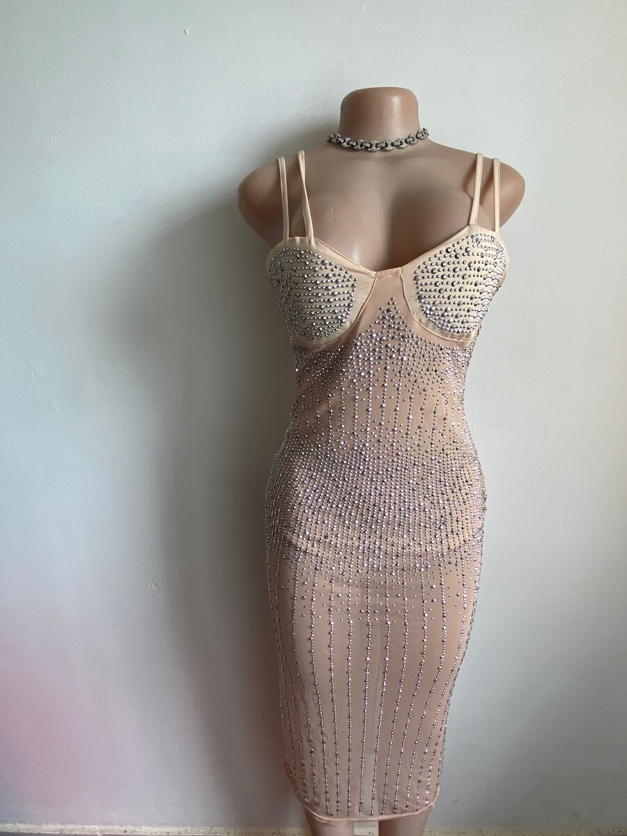 Sparkly Sheer Bodycon Dress