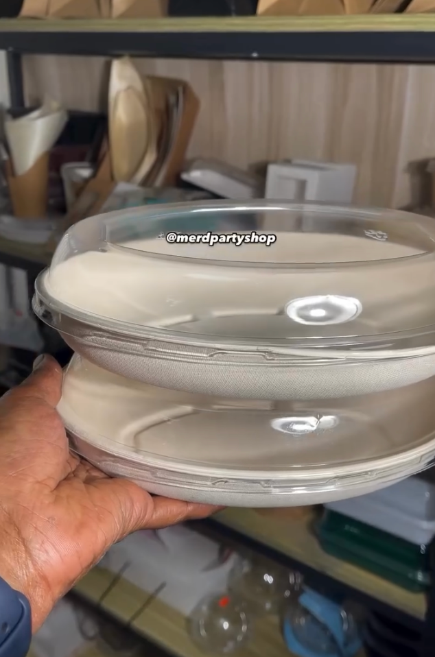 sugarcane oval palp container