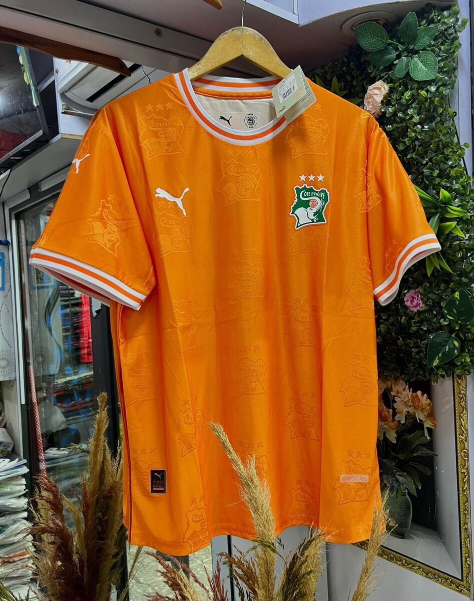 Maillot Côte d'Ivoire Puma
