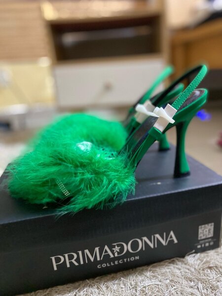 Talons À Plumes Vertes Élégants