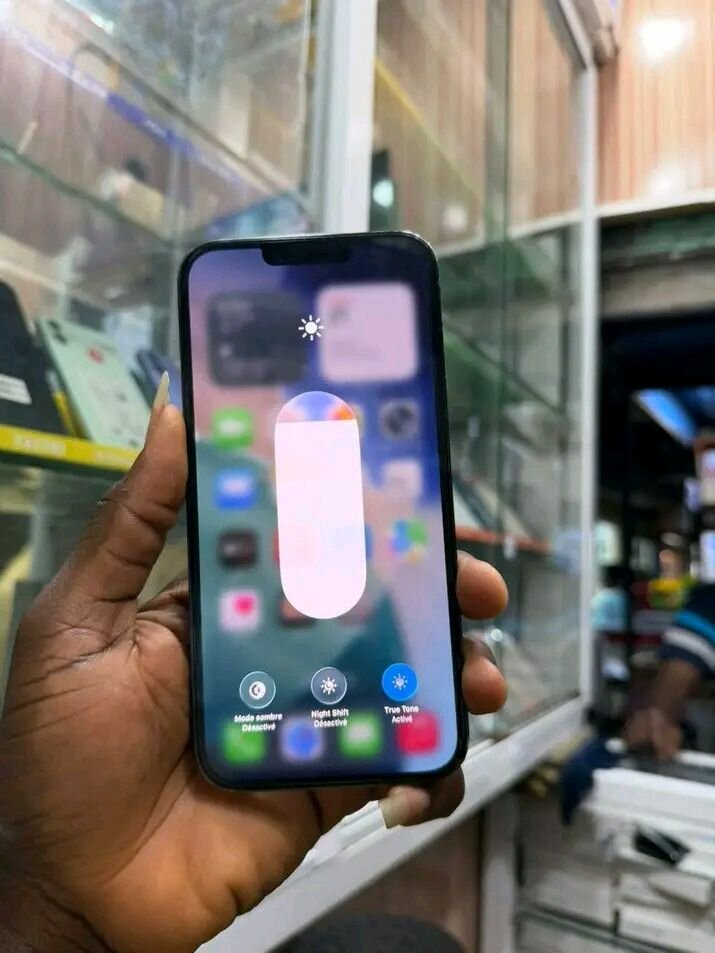 iPhone Pro Max 512 Go